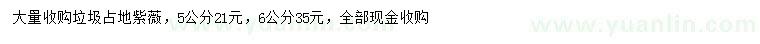 求購(gòu)5、6公分紫薇