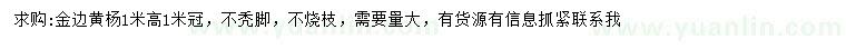 求購(gòu)高1米金邊黃楊