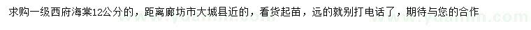 求購12公分西府海棠