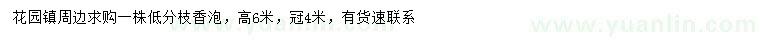 求購(gòu)高6米香泡