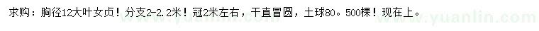 求購胸徑12公分大葉女貞