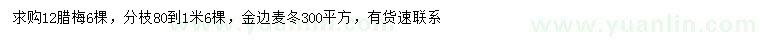 求購12公分臘梅、金邊麥冬