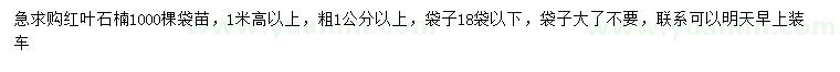 求購高1米以上紅葉石楠