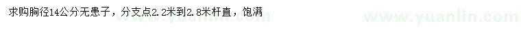 求購胸徑14公分無(wú)患子