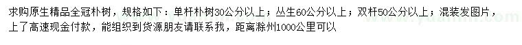 求購樸樹、叢生樸樹、雙桿樸樹