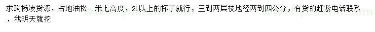 求購高1.7米油松