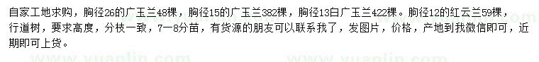 求購胸徑13、15、26公分廣玉蘭、胸徑12公分紅玉蘭