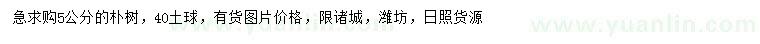 求購5公分樸樹