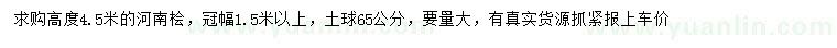 求購(gòu)高4.5米河南檜