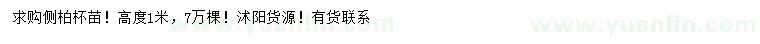 求購高1米側(cè)柏