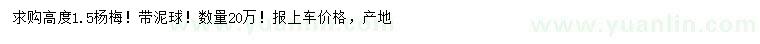 求購(gòu)高1.5米楊梅樹