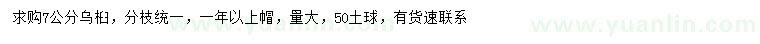 求購7公分烏桕