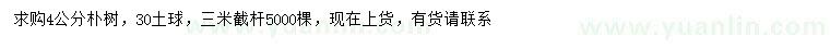 求購4公分樸樹