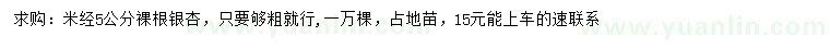 求購米徑5公分銀杏