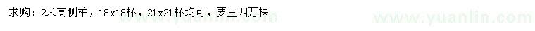 求購高2米側(cè)柏