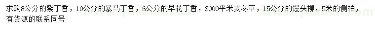 求購(gòu)紫丁香、暴馬丁香、早花丁香等