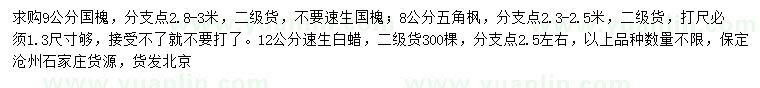 求購國槐、五角楓、速生白蠟