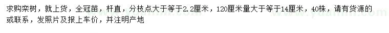 求購(gòu)120量14公分以上欒樹(shù)