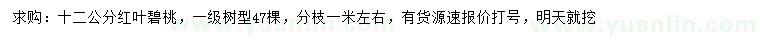 求購12公分紅葉碧桃