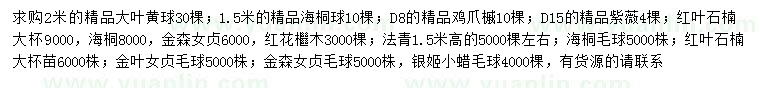 求購大葉黃楊球、海桐球、雞爪槭等