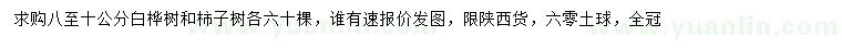 求購(gòu)8-10公分白樺樹(shù)、柿子樹(shù)