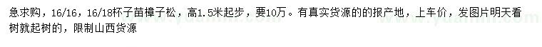 求購高1.5米以上樟子松