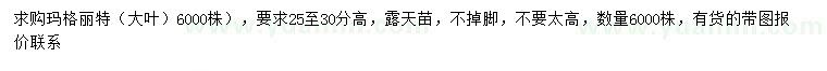 求購(gòu)高25-30公分瑪格麗特