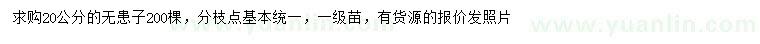 求購(gòu)20公分無(wú)患子