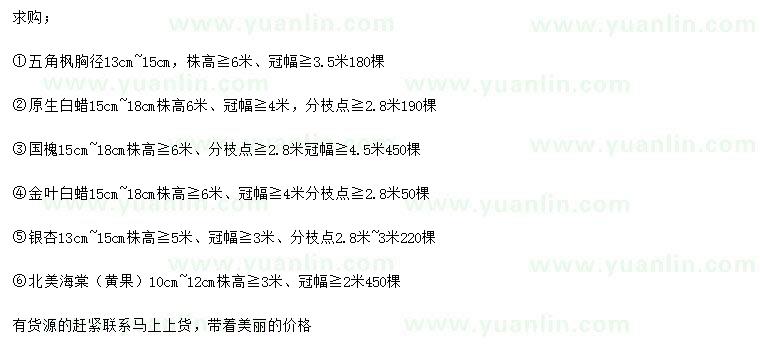 求購五角楓、原生白蠟、國槐等