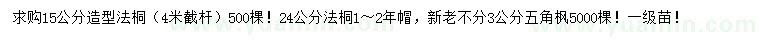 求購造型法桐、法桐、五角楓