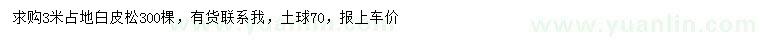 求購3米白皮松