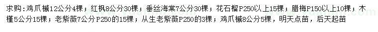 求購雞爪槭、紅楓、垂絲海棠等