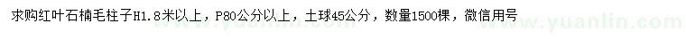 求購高1.8米以上紅葉石楠柱