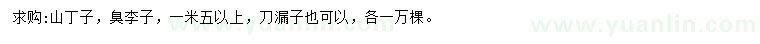 求購(gòu)山丁子、臭李子、無(wú)漏子