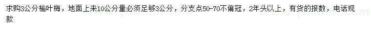 求購10量3公分榆葉梅