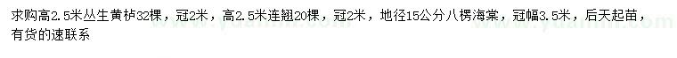 求購(gòu)叢生黃櫨、連翹、八棱海棠