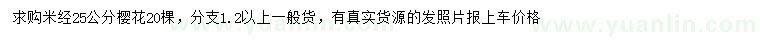 求購米徑25公分櫻花