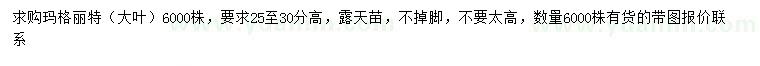 求購(gòu)高25-30分瑪格麗特