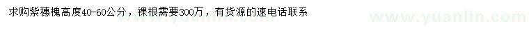 求購(gòu)高40-60公分紫穗槐