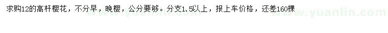 求購12公分晚櫻