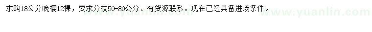 求購18公分晚櫻