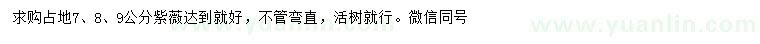 求購(gòu)7、8、9公分紫薇