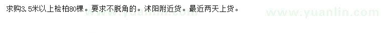 求購(gòu)3.5米以上檜柏