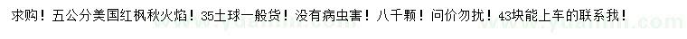 求購5公分美國紅楓秋火焰