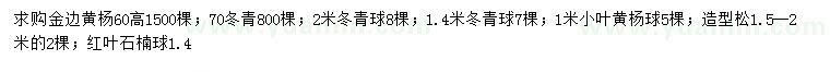 求購金邊黃楊、冬青、冬青球等