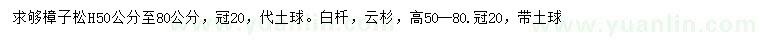 求購(gòu)高50-80公分樟子松、白扦云杉