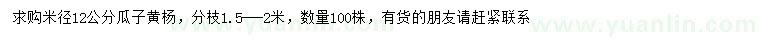 求購(gòu)米徑12公分瓜子黃楊