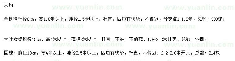求購(gòu)金枝槐、大葉女貞、國(guó)槐