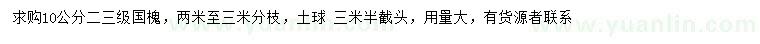 求購(gòu)10公分國(guó)槐