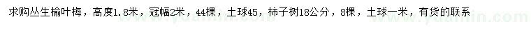 求購高1.8米叢生榆葉梅、18公分柿子樹